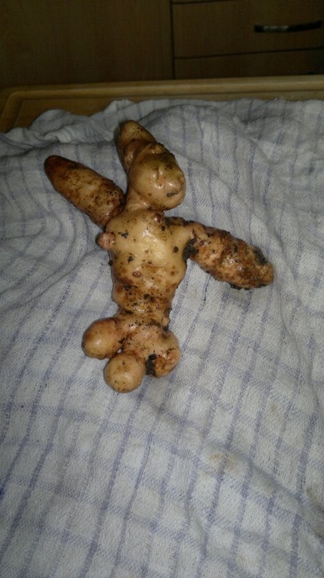dancing potato man